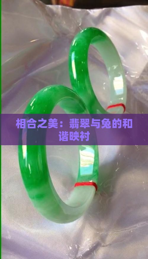 相合之美：翡翠与兔的和谐映衬