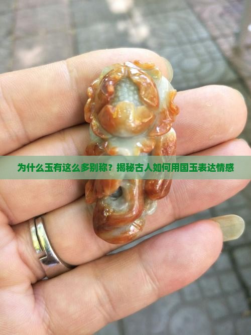 为什么玉有这么多别称？揭秘古人如何用国玉表达情感