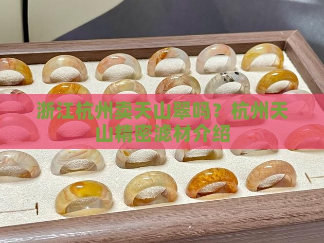 浙江杭州卖天山翠吗?杭州天山精密滤材介绍 浙江杭州卖天山翠吗?杭州天山精密滤材介绍