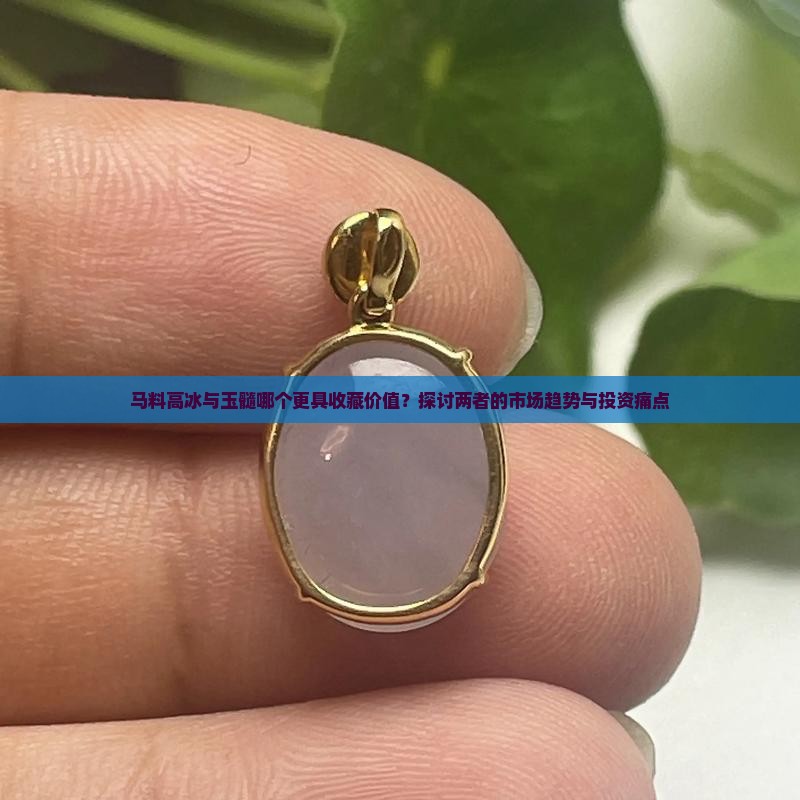 马料高冰与玉髓哪个更具收藏价值？探讨两者的市场趋势与投资痛点