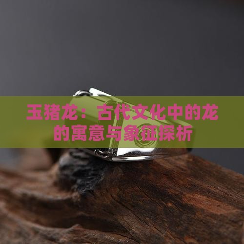 玉猪龙：古代文化中的龙的寓意与象征探析