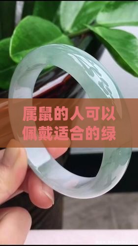 属鼠的人可以佩戴适合的绿翡翠吗