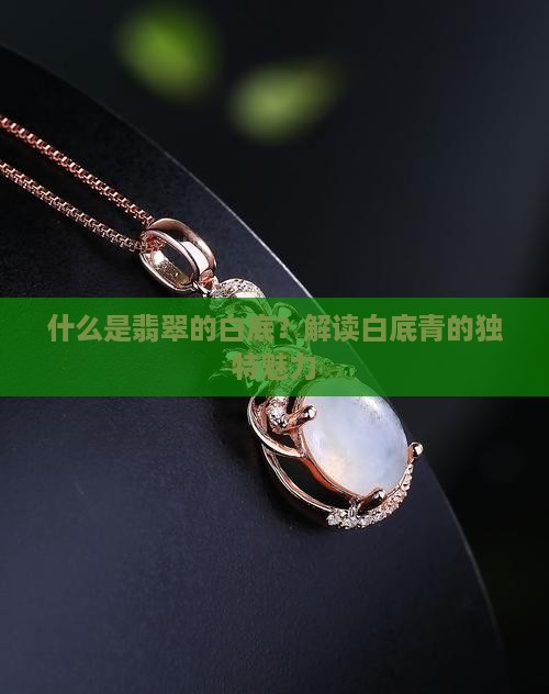 什么是翡翠的白底？解读白底青的独特魅力