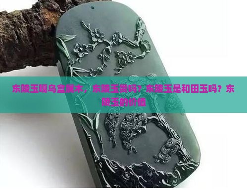 东陵玉嘎乌盒属木，东陵玉贵吗？东陵玉是和田玉吗？东陵玉的价值