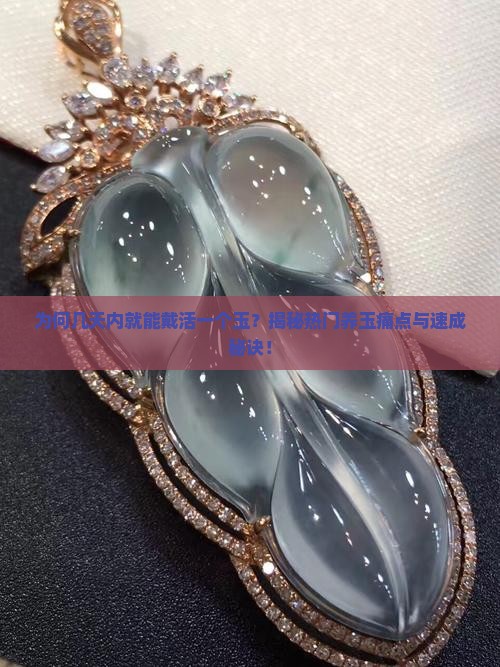 为何几天内就能戴活一个玉？揭秘热门养玉痛点与速成秘诀！
