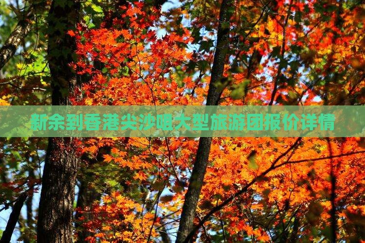 新余到香港尖沙咀大型旅游团报价详情
