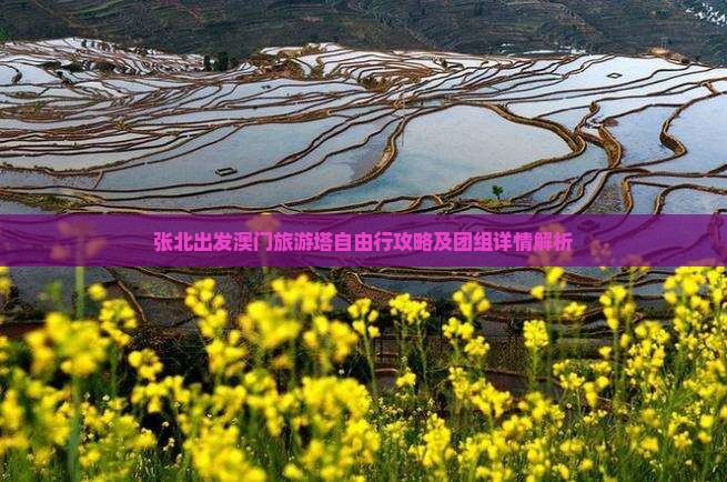 张北出发澳门旅游塔自由行攻略及团组详情解析