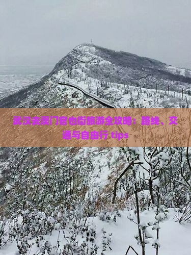 武汉去澳门官也街旅游全攻略：路线、交通与自由行 tips
