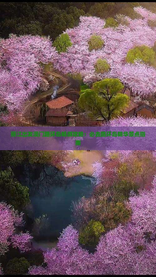 丽江出发澳门路环岛畅游攻略：必去路环岛精华景点指南