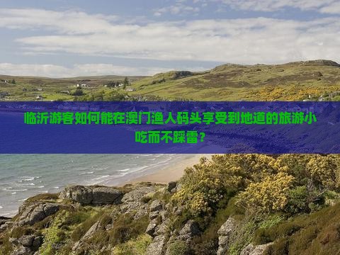 临沂游客如何能在澳门渔人码头享受到地道的旅游小吃而不踩雷？