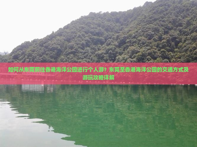 如何从东莞前往香港海洋公园进行个人游？东莞至香港海洋公园的交通方式及游玩攻略详解