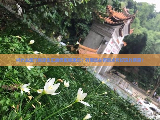 郴州去澳门新濠影汇度假区哪里玩？有哪些必看景点和好玩的项目？