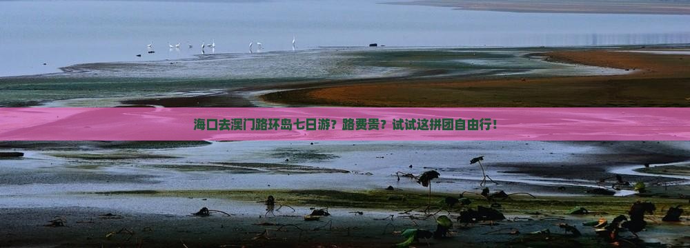 海口去澳门路环岛七日游？路费贵？试试这拼团自由行！