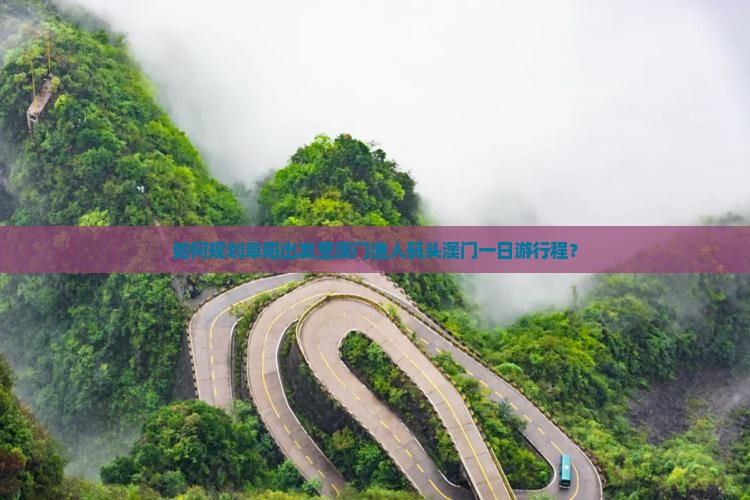 如何规划阜阳出发至澳门渔人码头澳门一日游行程？