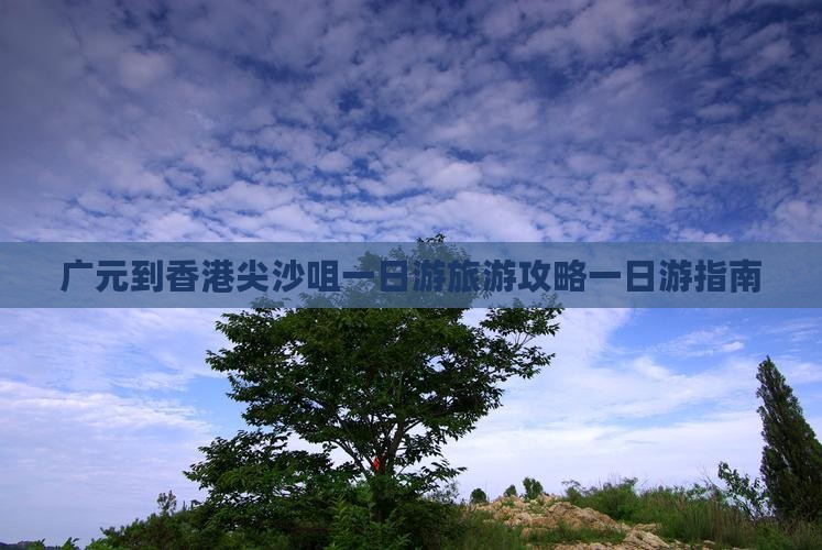 广元到香港尖沙咀一日游旅游攻略一日游指南