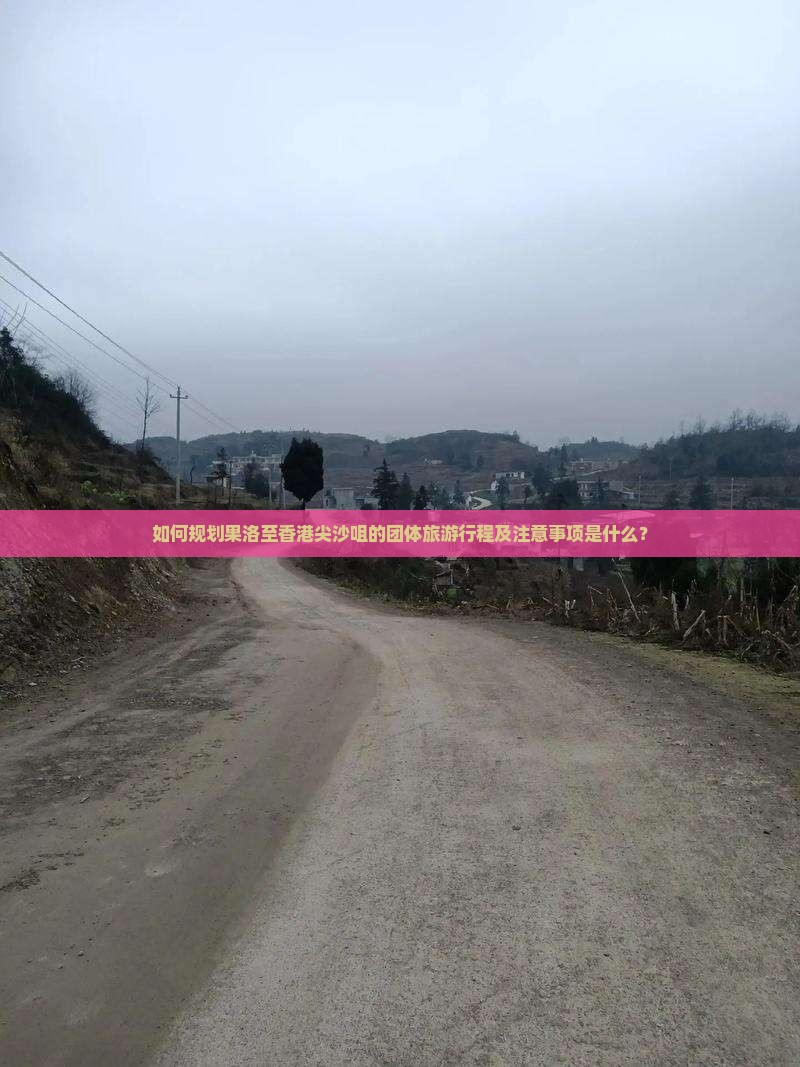 如何规划果洛至香港尖沙咀的团体旅游行程及注意事项是什么？
