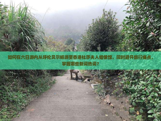 如何在六日游内从呼伦贝尔畅游至香港杜莎夫人蜡像馆，同时避开旅行痛点，掌握哪些新词热词？