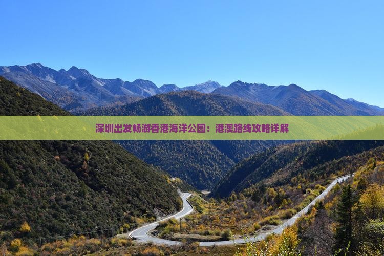 深圳出发畅游香港海洋公园：港澳路线攻略详解