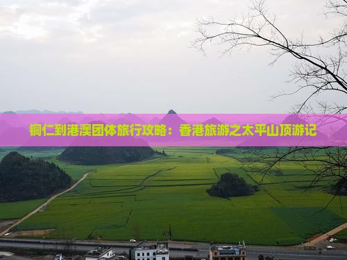 铜仁到港澳团体旅行攻略：香港旅游之太平山顶游记