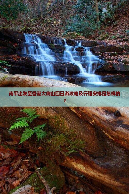 南平出发至香港大屿山四日游攻略及行程安排是怎样的？