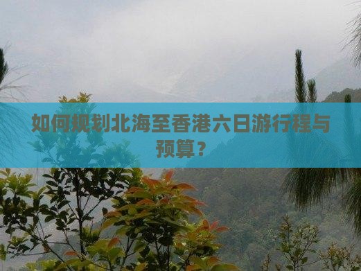 如何规划北海至香港六日游行程与预算？
