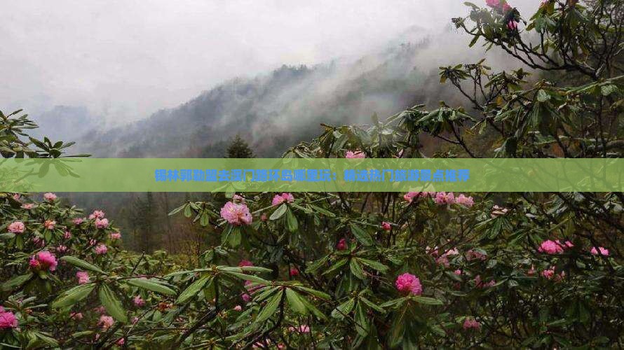 锡林郭勒盟去澳门路环岛哪里玩：精选热门旅游景点推荐