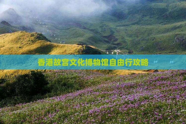 香港故宫文化博物馆自由行攻略