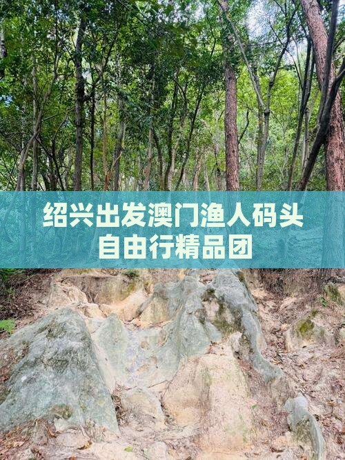 绍兴出发澳门渔人码头自由行精品团
