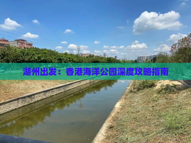 湖州出发：香港海洋公园深度攻略指南