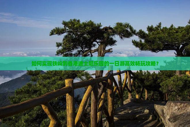 如何实现铁岭到香港迪士尼乐园的一日游高效畅玩攻略？