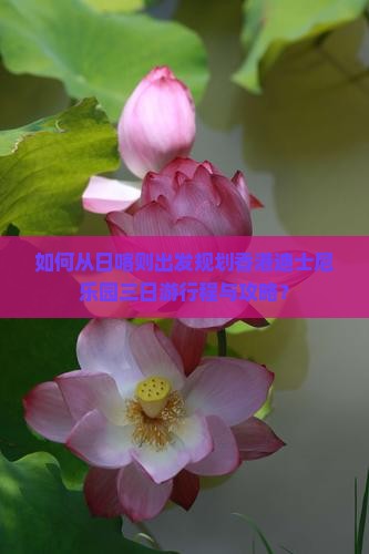 如何从日喀则出发规划香港迪士尼乐园三日游行程与攻略？