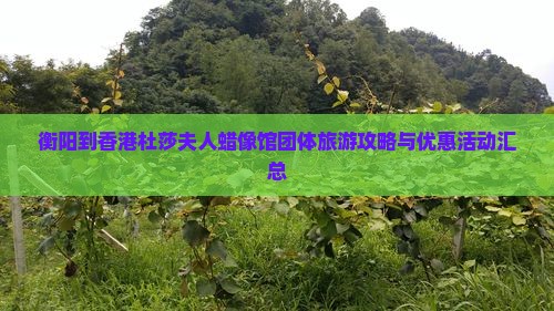衡阳到香港杜莎夫人蜡像馆团体旅游攻略与优惠活动汇总