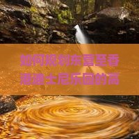 如何规划东营至香港迪士尼乐园的高品质团体旅游，解决签证与行程安排的痛点？