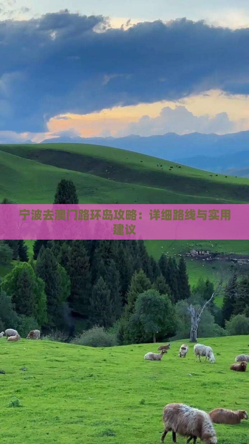 宁波去澳门路环岛攻略：详细路线与实用建议