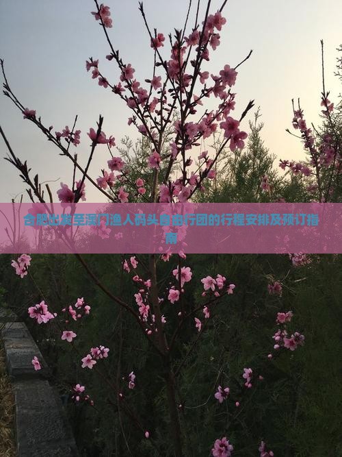 合肥出发至澳门渔人码头自由行团的行程安排及预订指南