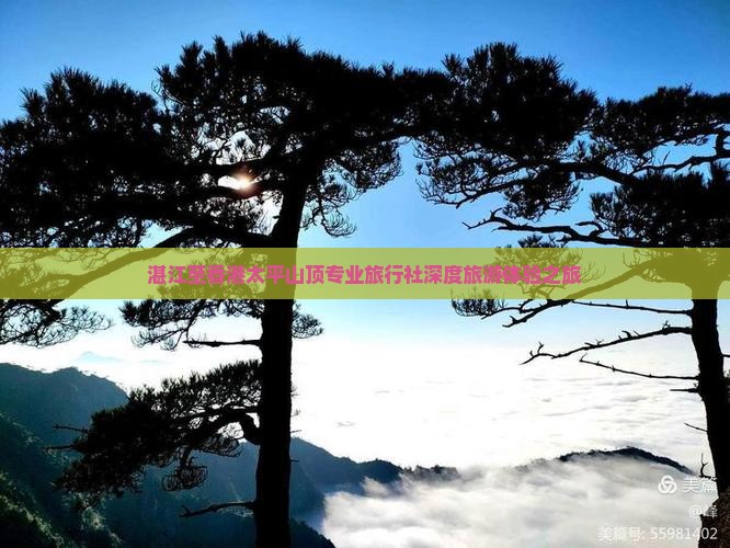 湛江至香港太平山顶专业旅行社深度旅游体验之旅
