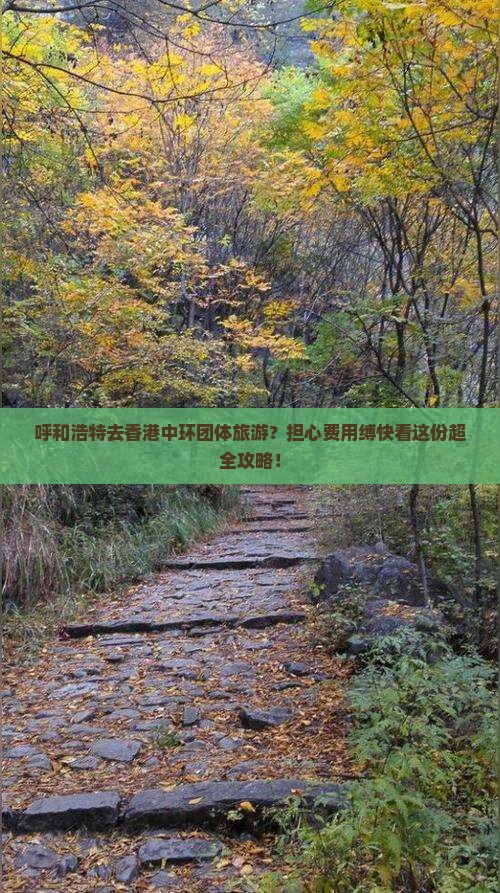 呼和浩特去香港中环团体旅游？担心费用缚快看这份超全攻略！