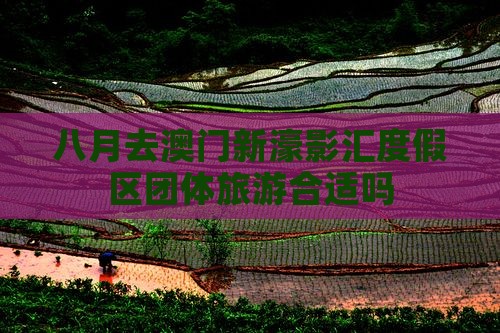 八月去澳门新濠影汇度假区团体旅游合适吗