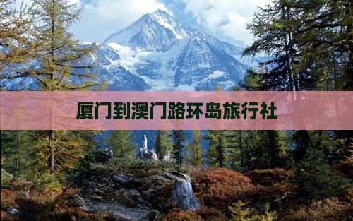 厦门到澳门路环岛旅行社