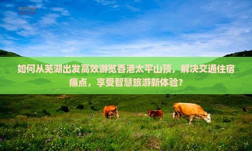 如何从芜湖出发高效游览香港太平山顶，解决交通住宿痛点，享受智慧旅游新体验？