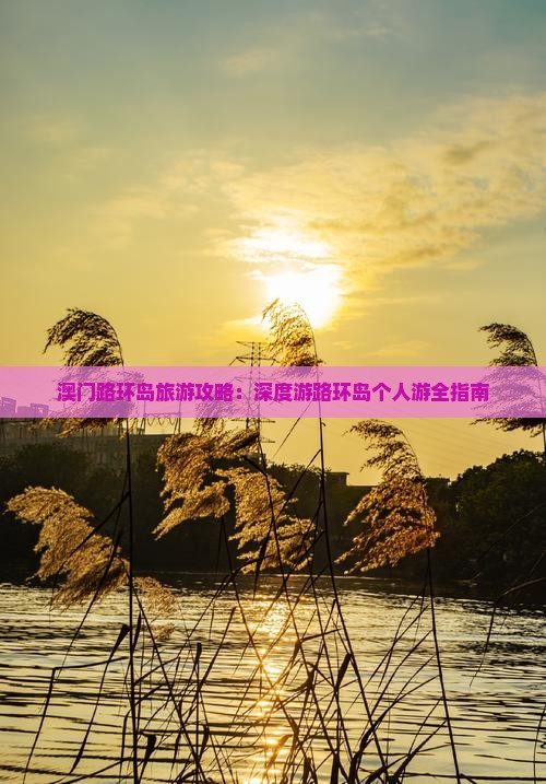 澳门路环岛旅游攻略：深度游路环岛个人游全指南