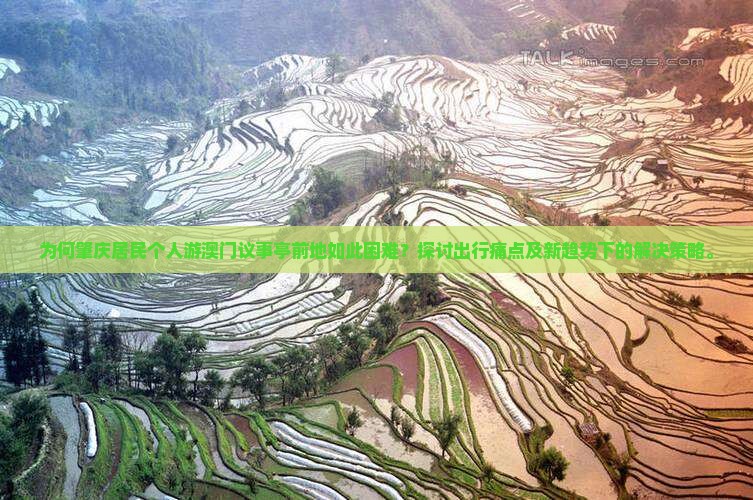 为何肇庆居民个人游澳门议事亭前地如此困难？探讨出行痛点及新趋势下的解决策略。