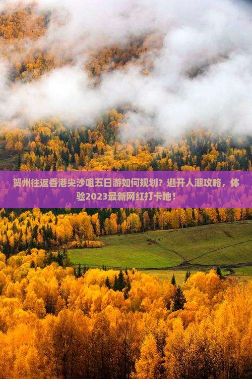贺州往返香港尖沙咀五日游如何规划？避开人潮攻略，体验2023最新网红打卡地！