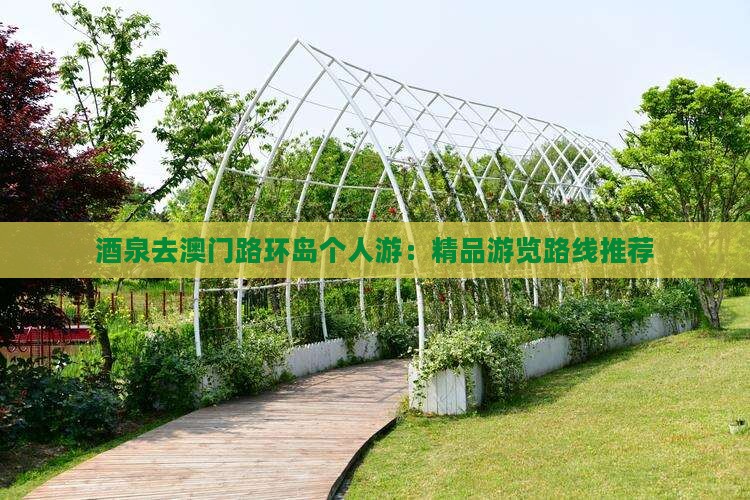 酒泉去澳门路环岛个人游：精品游览路线推荐