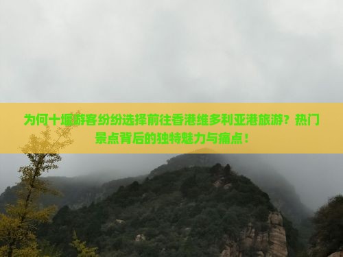 为何十堰游客纷纷选择前往香港维多利亚港旅游？热门景点背后的独特魅力与痛点！