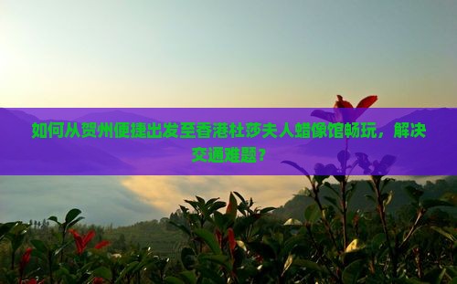 如何从贺州便捷出发至香港杜莎夫人蜡像馆畅玩，解决交通难题？