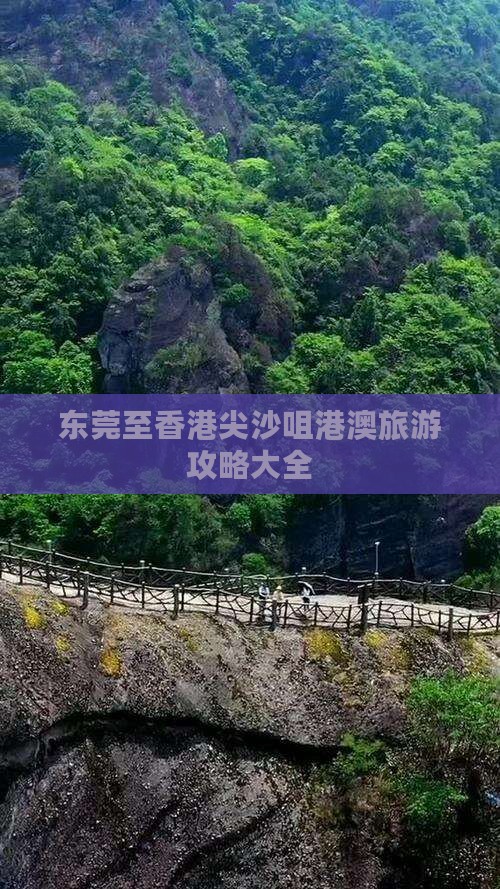 东莞至香港尖沙咀港澳旅游攻略大全