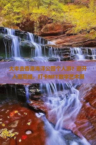 大丰去香港海洋公园个人游？避开人潮高峰，打卡NFT数字艺术展