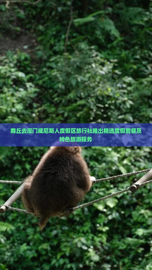 商丘去澳门威尼斯人度假区旅行社推出精选度假套餐及特色旅游服务