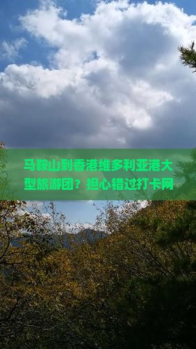 马鞍山到香港维多利亚港大型旅游团？担心错过打卡网红景点？快来看这个全攻略！